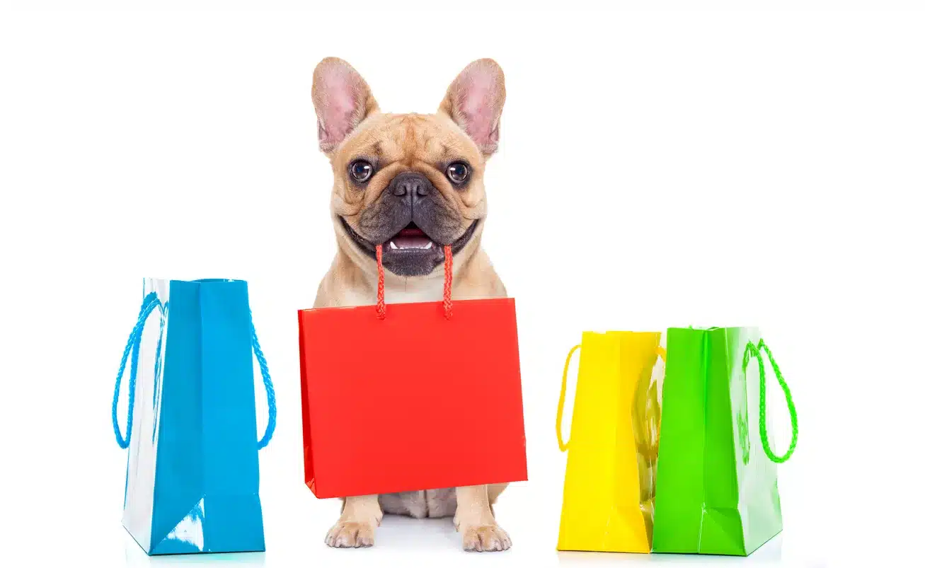 5 Luxury Items For Your Dog